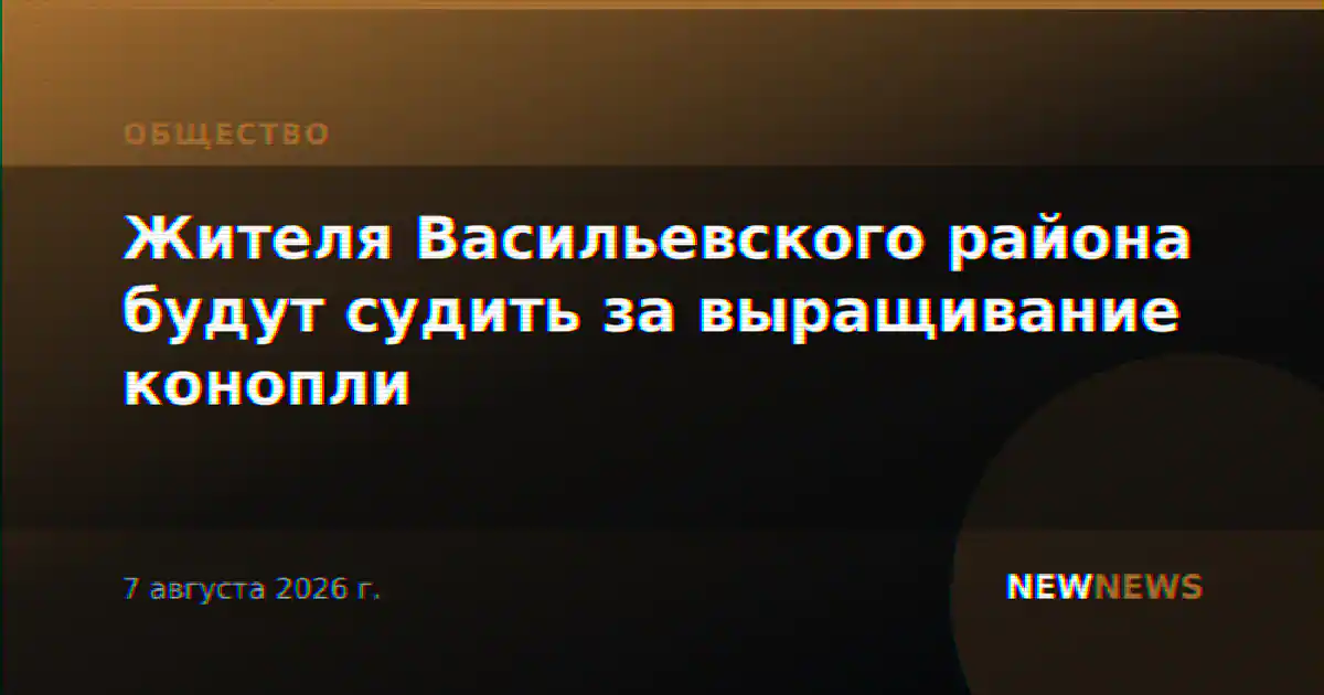Жителя Васильевского района будут судить за выращивание конопли