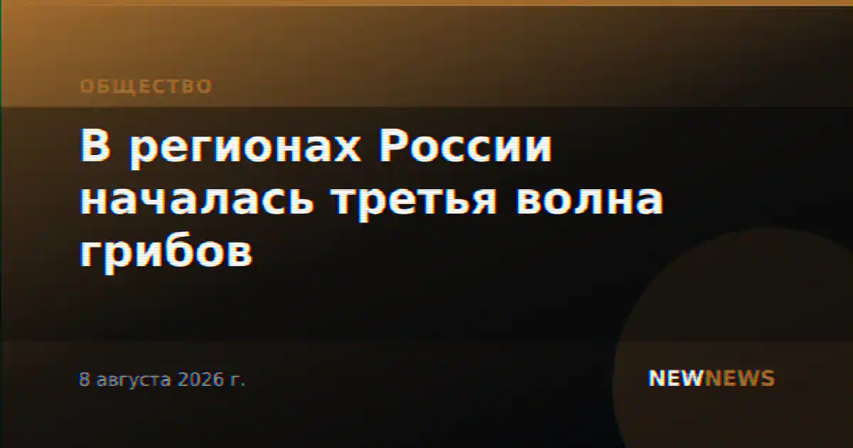 В регионах России началась третья волна грибов