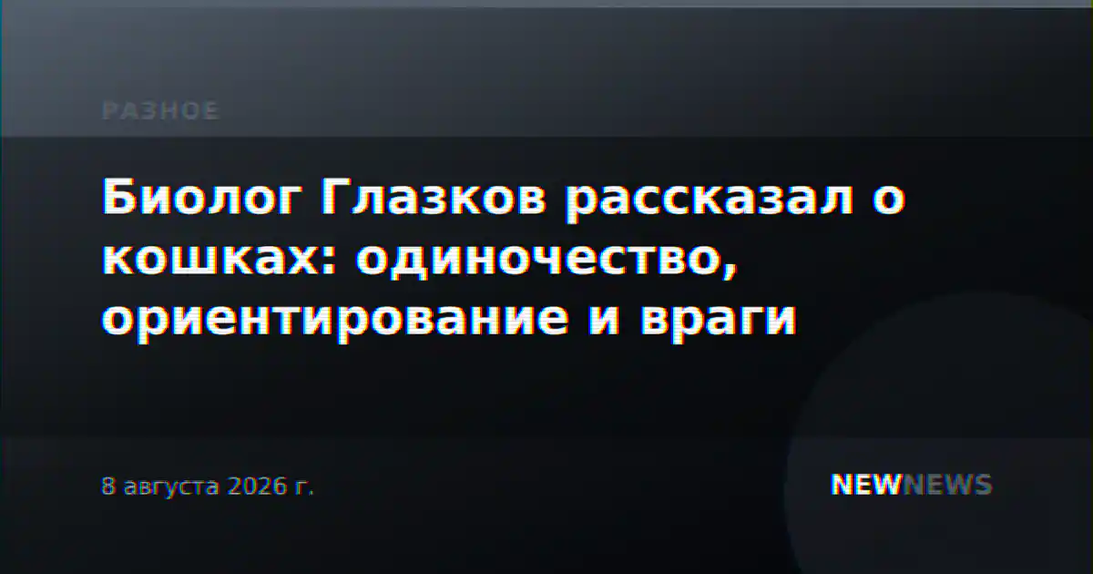 Биолог Глазков рассказал о кошках: одиночество, ориентирование и враги