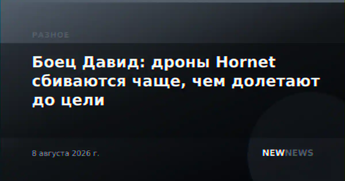 Боец Давид: дроны Hornet сбиваются чаще, чем долетают до цели