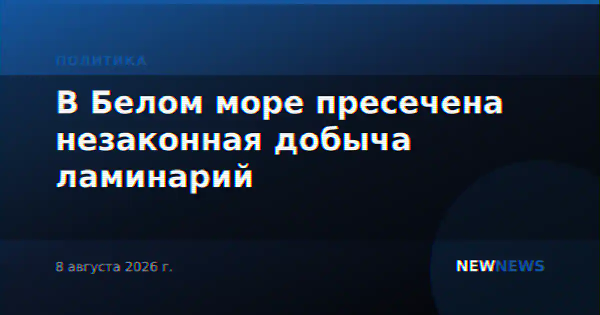 В Белом море пресечена незаконная добыча ламинарий