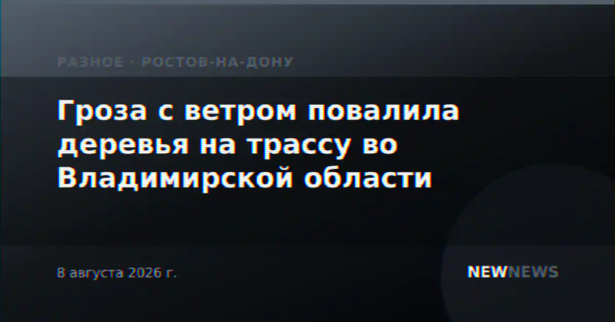Гроза с ветром повалила деревья на трассу во Владимирской области