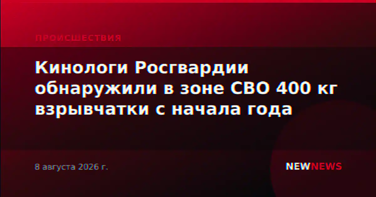Кинологи Росгвардии обнаружили в зоне СВО 400 кг взрывчатки с начала года