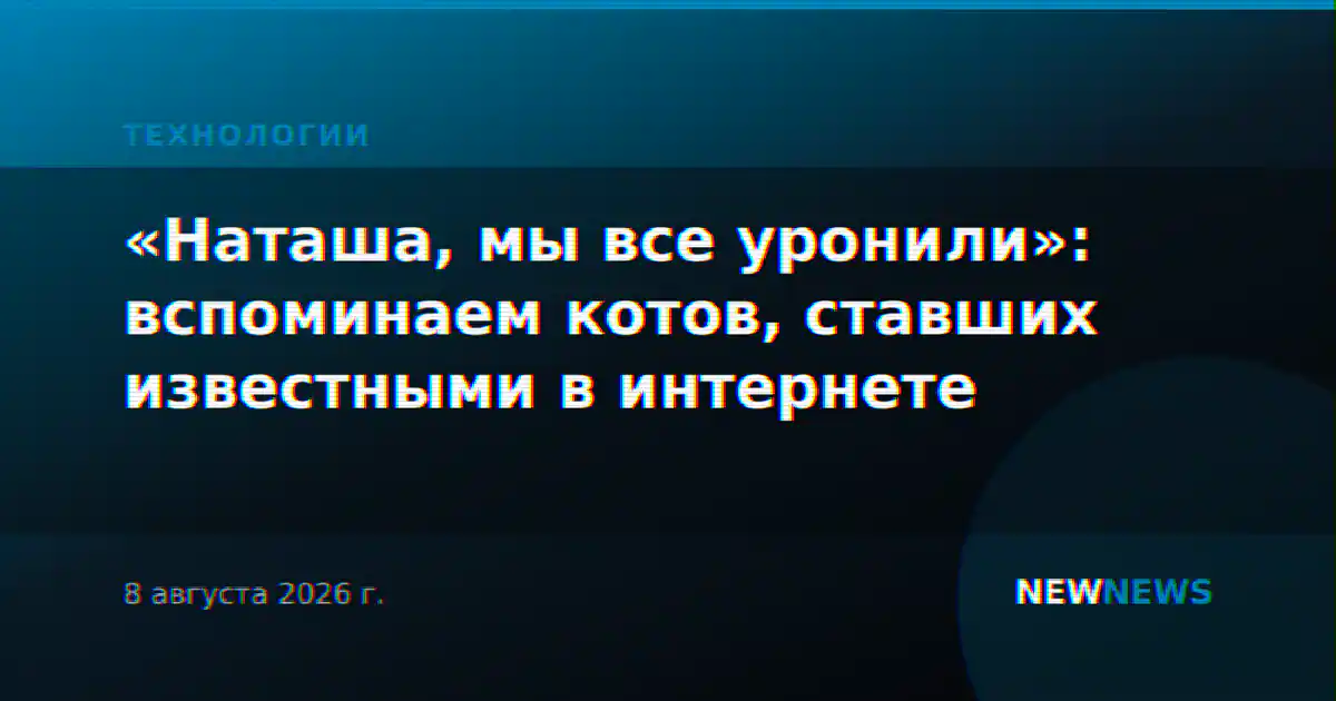 «Наташа, мы все уронили»: вспоминаем котов, ставших известными в интернете