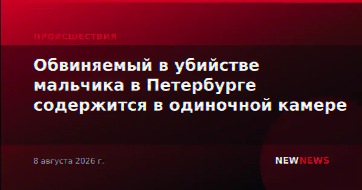 Обвиняемый в убийстве мальчика в Петербурге содержится в одиночной камере