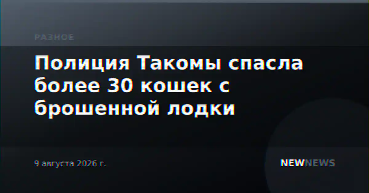 Полиция Такомы спасла более 30 кошек с брошенной лодки