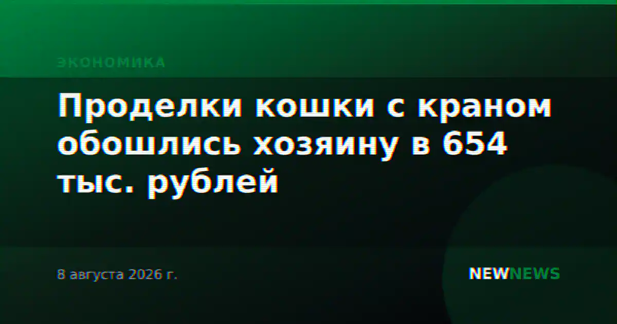 Проделки кошки с краном обошлись хозяину в 654 тыс. рублей