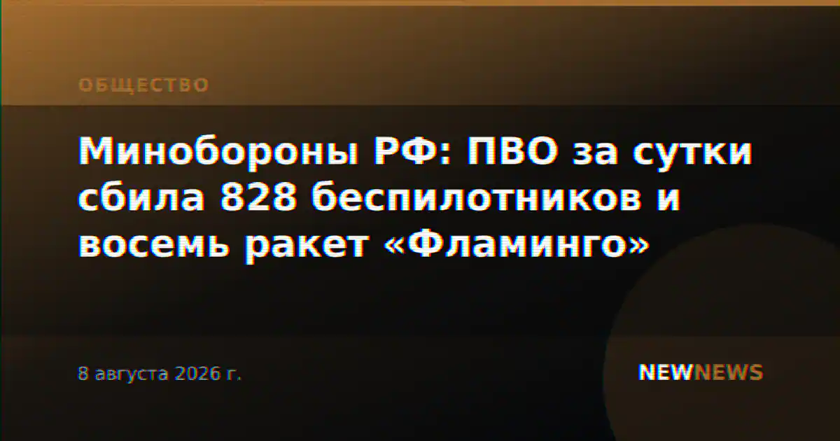 Минобороны РФ: ПВО за сутки сбила 828 беспилотников и восемь ракет «Фламинго»