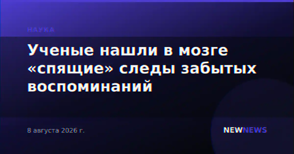 Ученые нашли в мозге «спящие» следы забытых воспоминаний