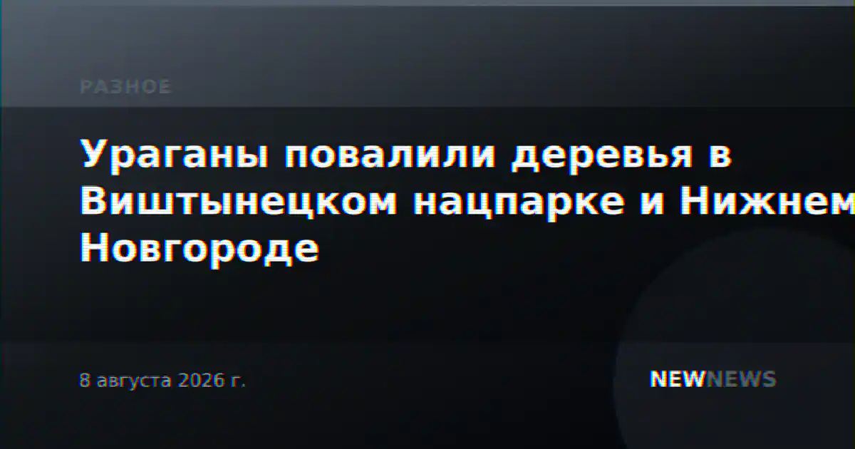Ураганы повалили деревья в Виштынецком нацпарке и Нижнем Новгороде