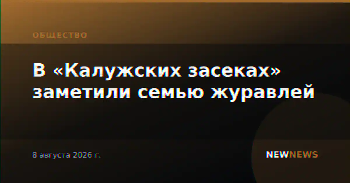 В «Калужских засеках» заметили семью журавлей