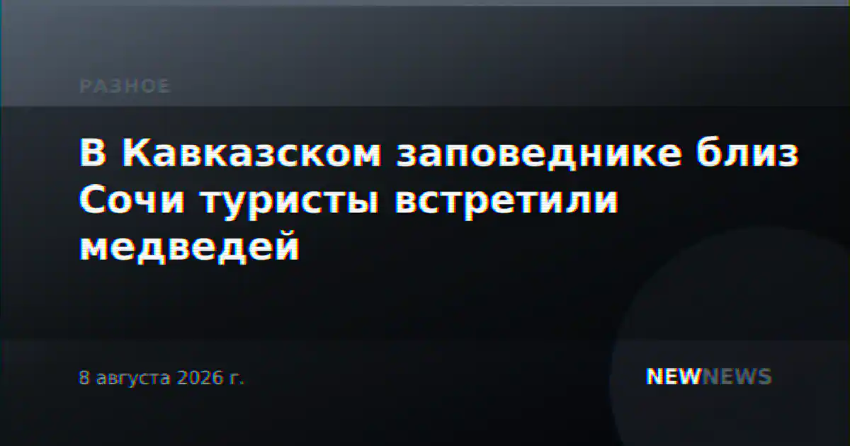 В Кавказском заповеднике близ Сочи туристы встретили медведей
