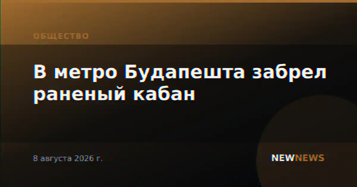 В метро Будапешта забрел раненый кабан