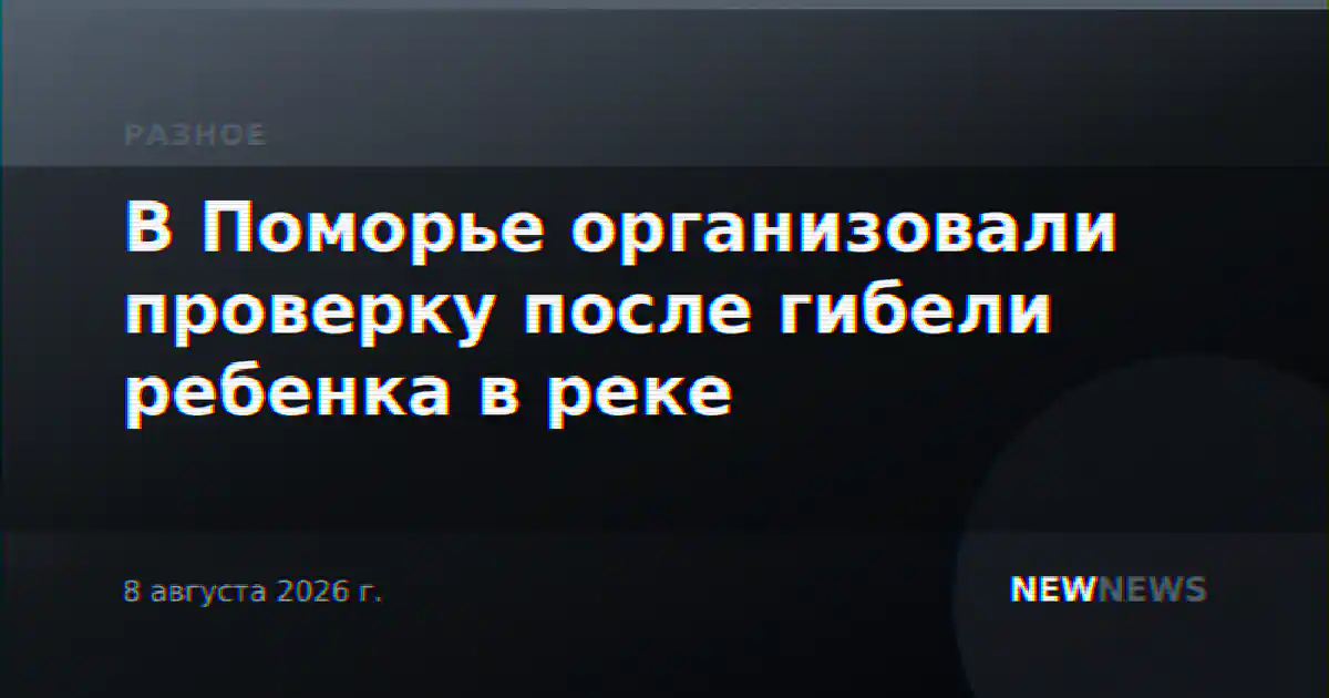 В Поморье организовали проверку после гибели ребенка в реке