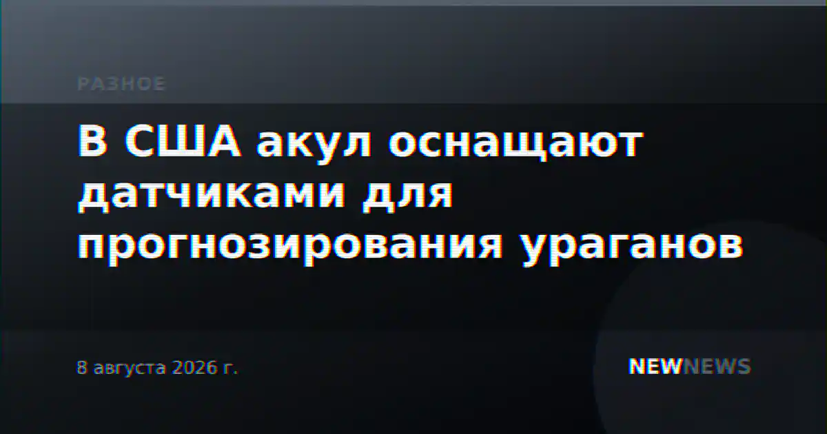 В США акул оснащают датчиками для прогнозирования ураганов