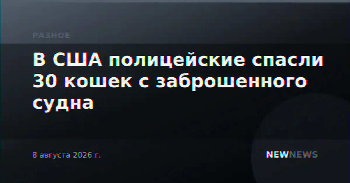 В США полицейские спасли 30 кошек с заброшенного судна