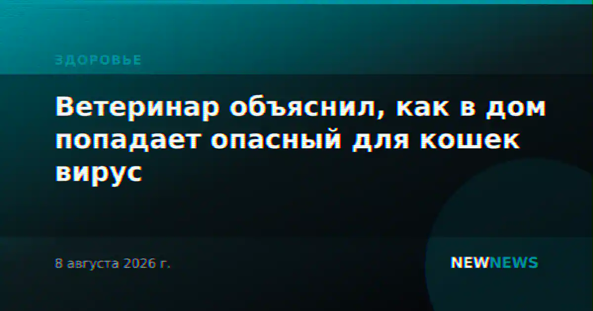 Ветеринар объяснил, как в дом попадает опасный для кошек вирус