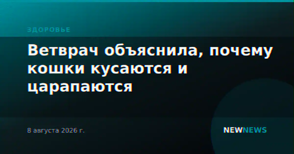 Ветврач объяснила, почему кошки кусаются и царапаются