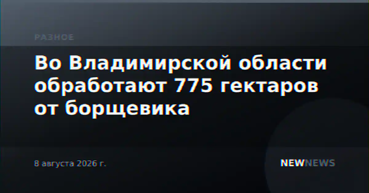 Во Владимирской области обработают 775 гектаров от борщевика