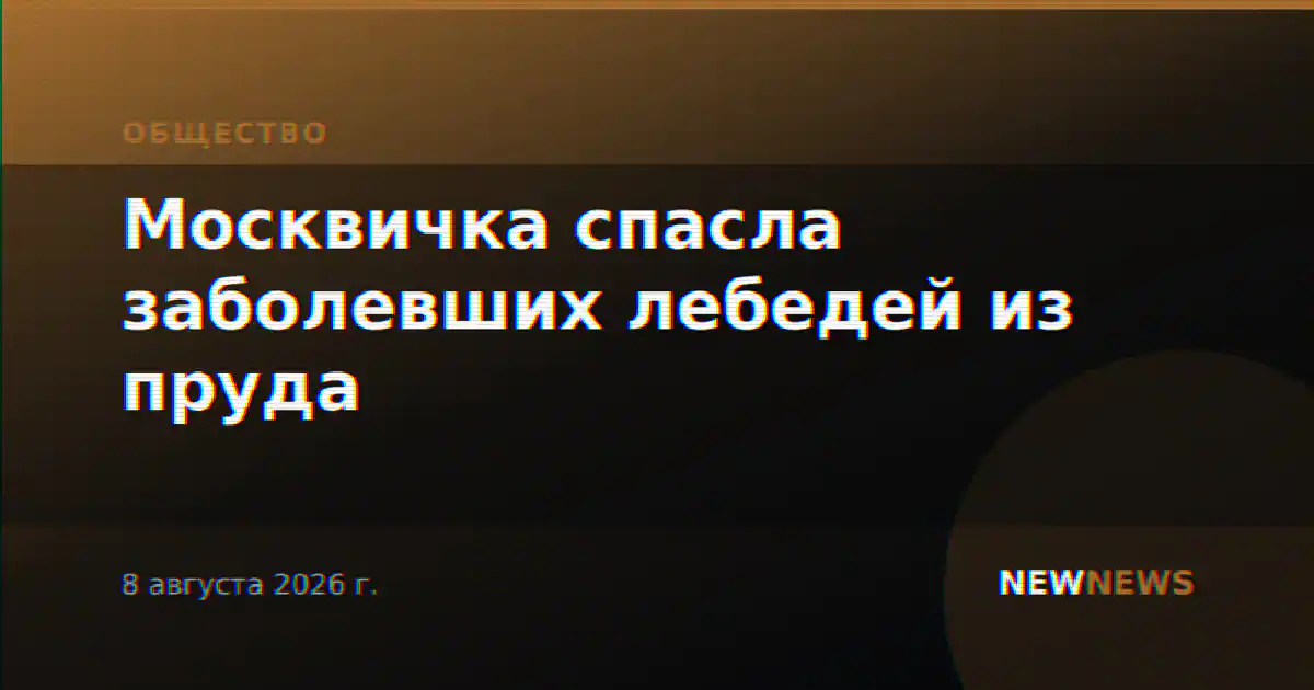 Москвичка спасла заболевших лебедей из пруда