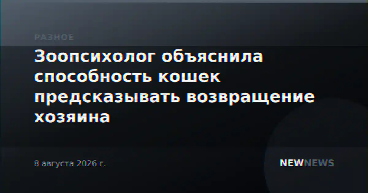 Зоопсихолог объяснила способность кошек предсказывать возвращение хозяина