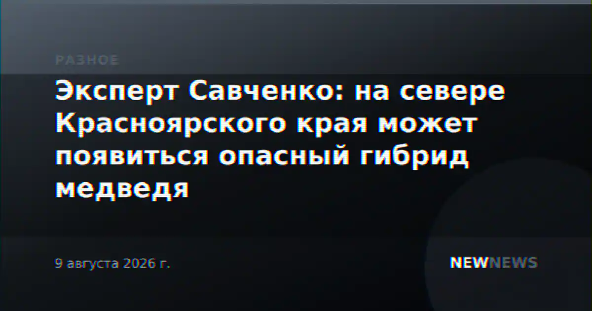 Эксперт Савченко: на севере Красноярского края может появиться опасный гибрид медведя