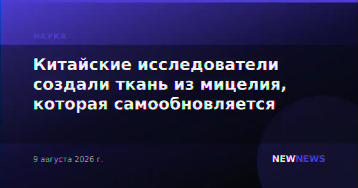 Китайские исследователи создали ткань из мицелия, которая самообновляется