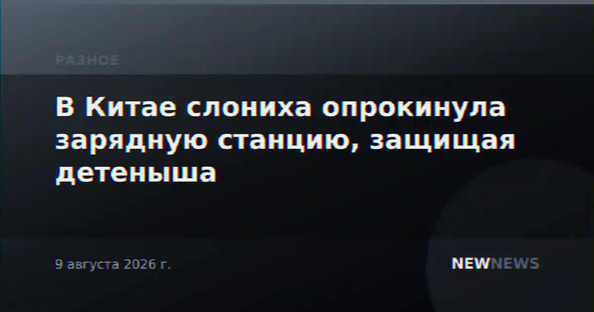 В Китае слониха опрокинула зарядную станцию, защищая детеныша