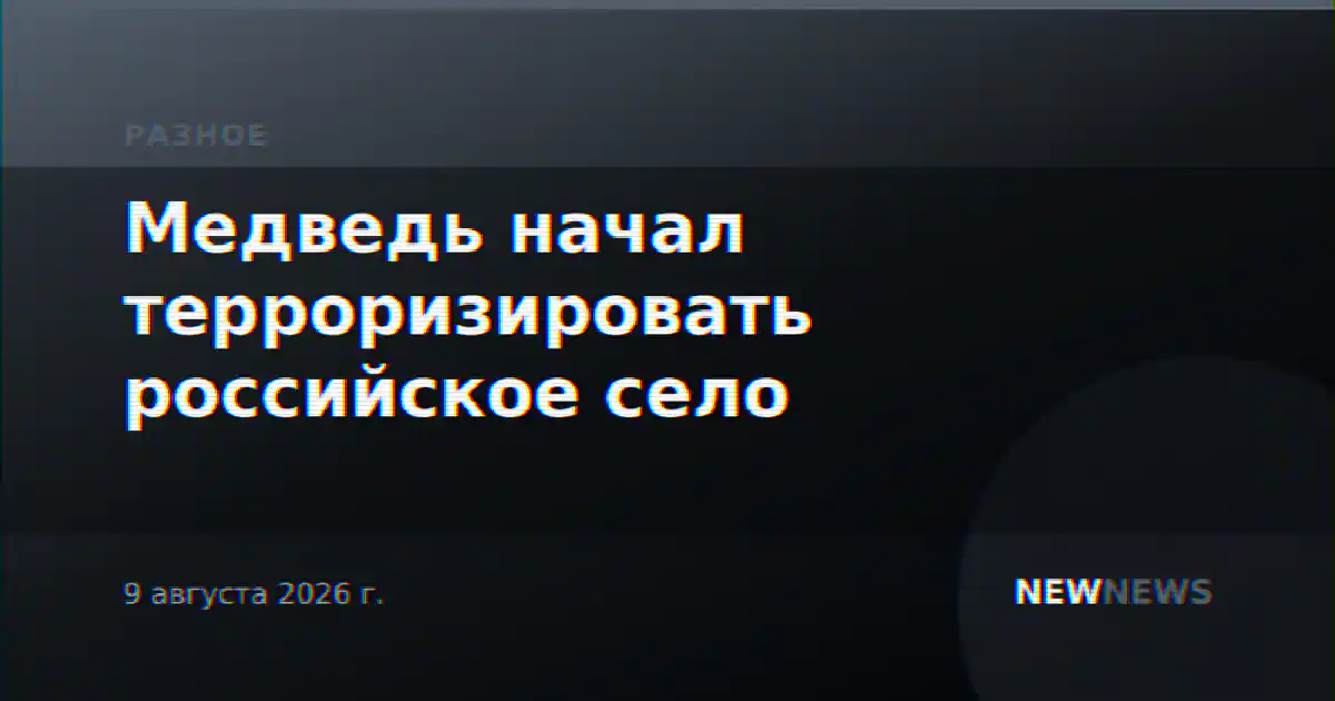 Медведь начал терроризировать российское село