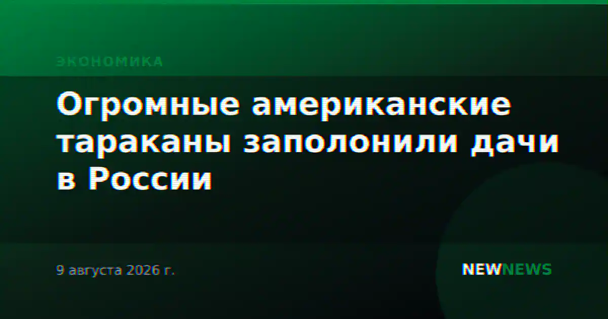 Огромные американские тараканы заполонили дачи в России
