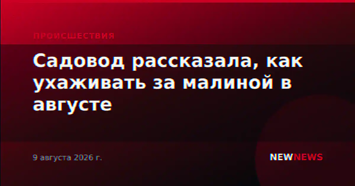 Садовод рассказала, как ухаживать за малиной в августе