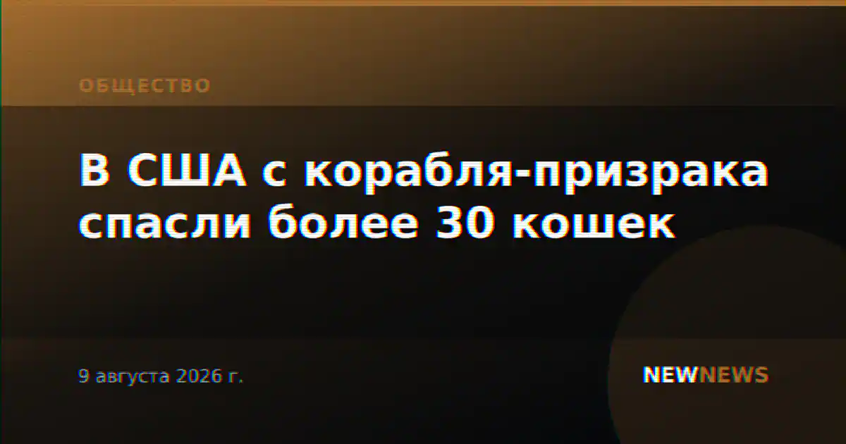 В США с корабля-призрака спасли более 30 кошек