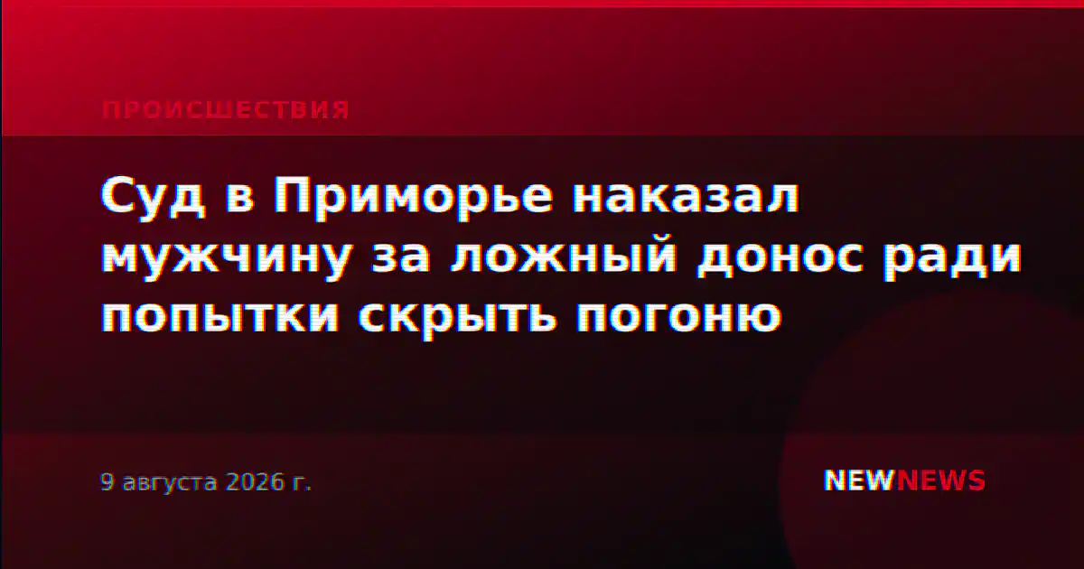 Суд в Приморье наказал мужчину за ложный донос ради попытки скрыть погоню