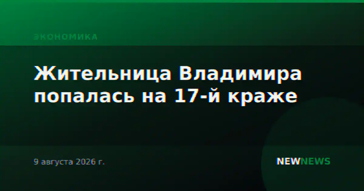 Жительница Владимира попалась на 17-й краже