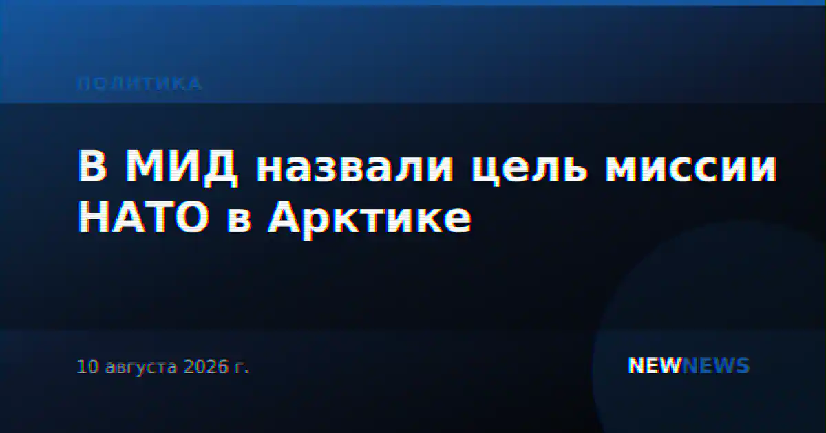 В МИД назвали цель миссии НАТО в Арктике