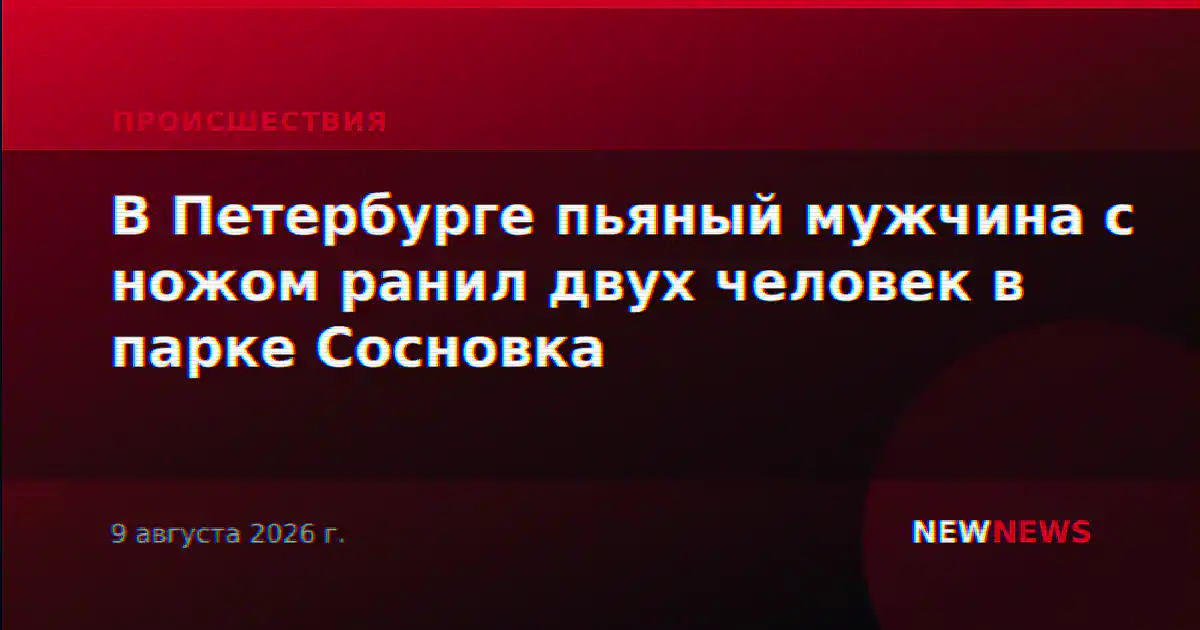 В Петербурге пьяный мужчина с ножом ранил двух человек в парке Сосновка