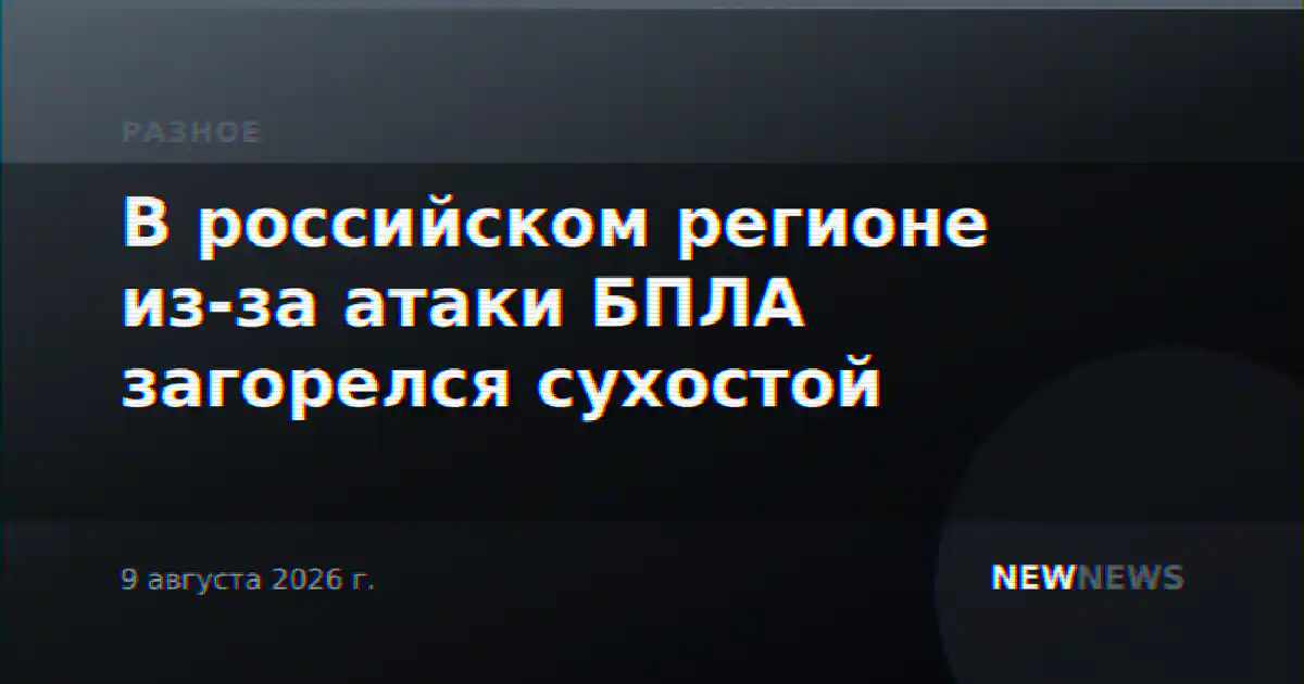 В российском регионе из-за атаки БПЛА загорелся сухостой