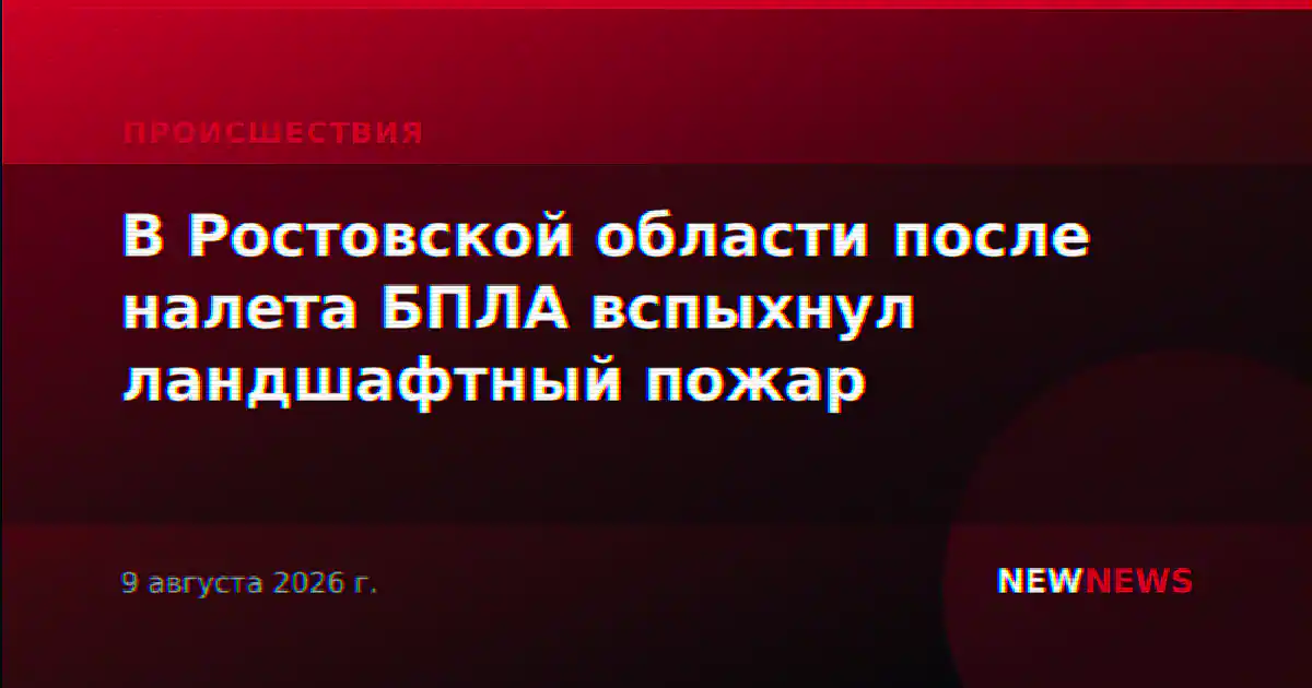 В Ростовской области после налета БПЛА вспыхнул ландшафтный пожар
