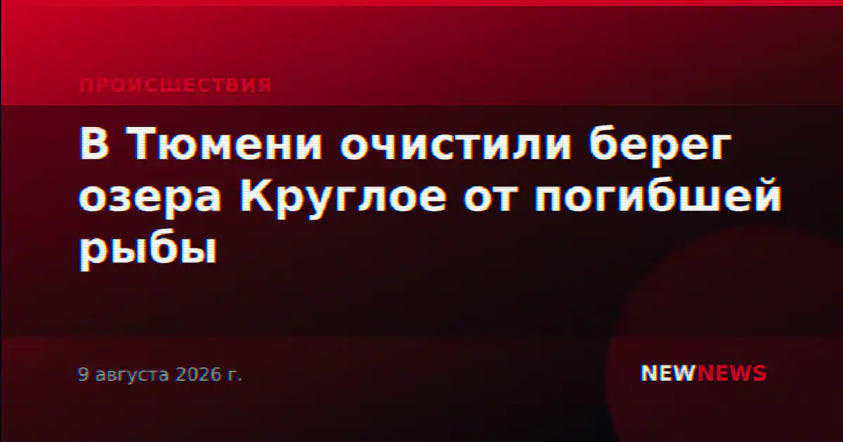 В Тюмени очистили берег озера Круглое от погибшей рыбы