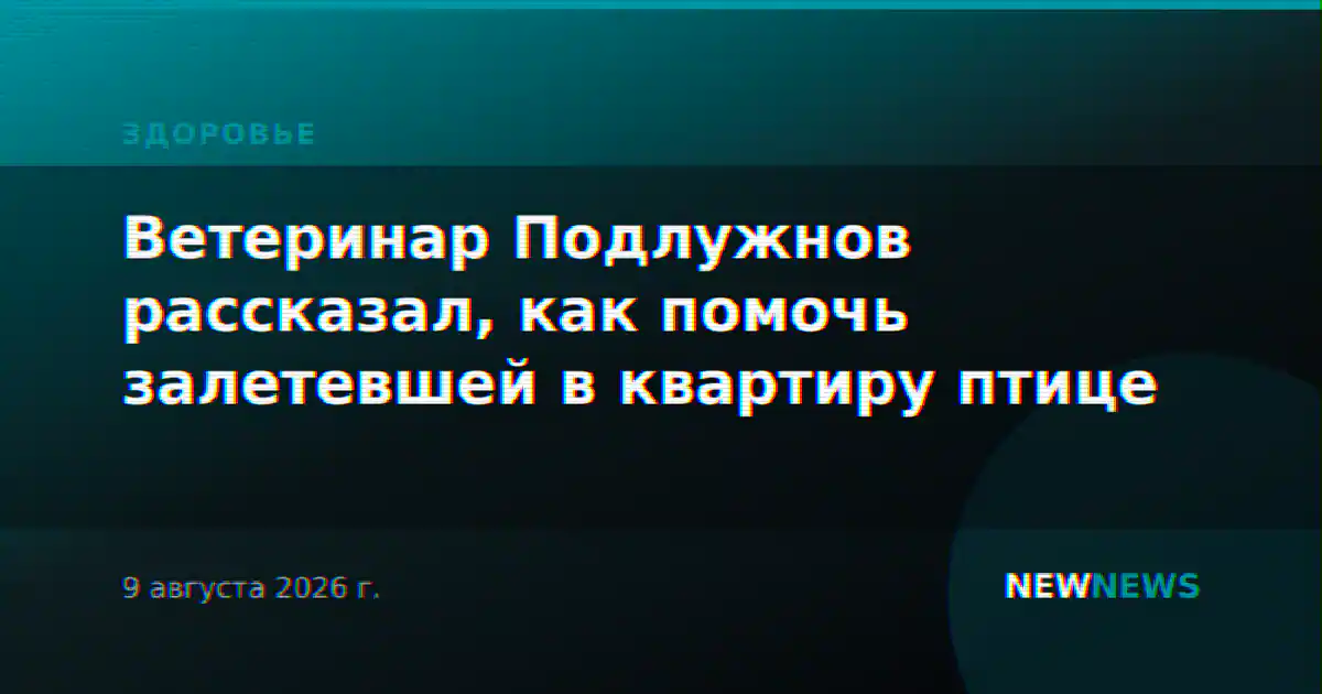 Ветеринар Подлужнов рассказал, как помочь залетевшей в квартиру птице