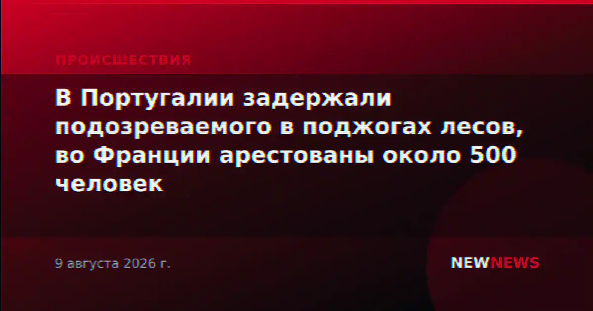 В Португалии задержали подозреваемого в поджогах лесов, во Франции арестованы около 500 человек