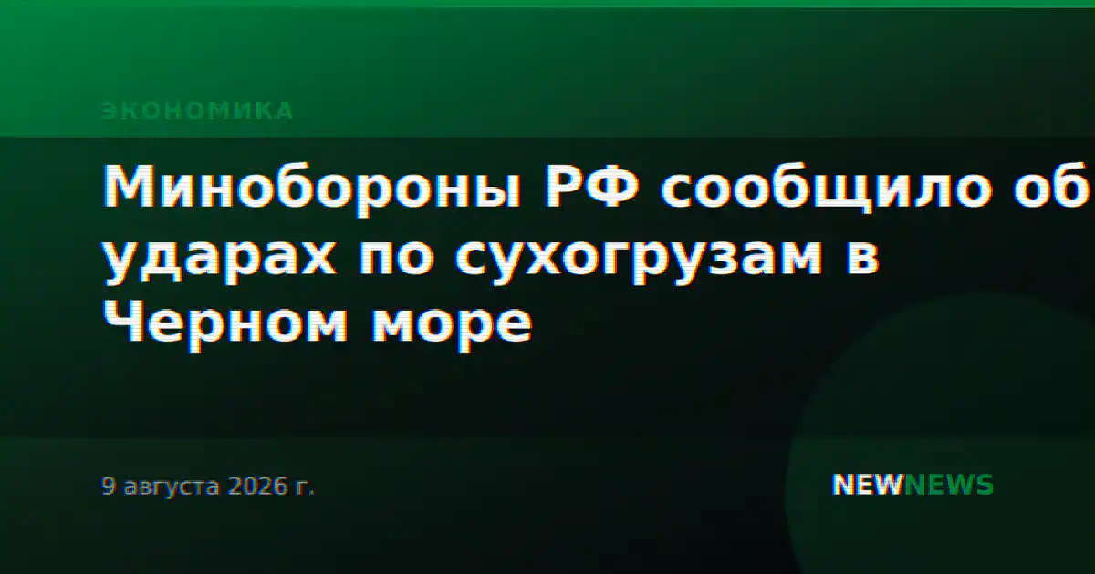 Минобороны РФ сообщило об ударах по сухогрузам в Черном море