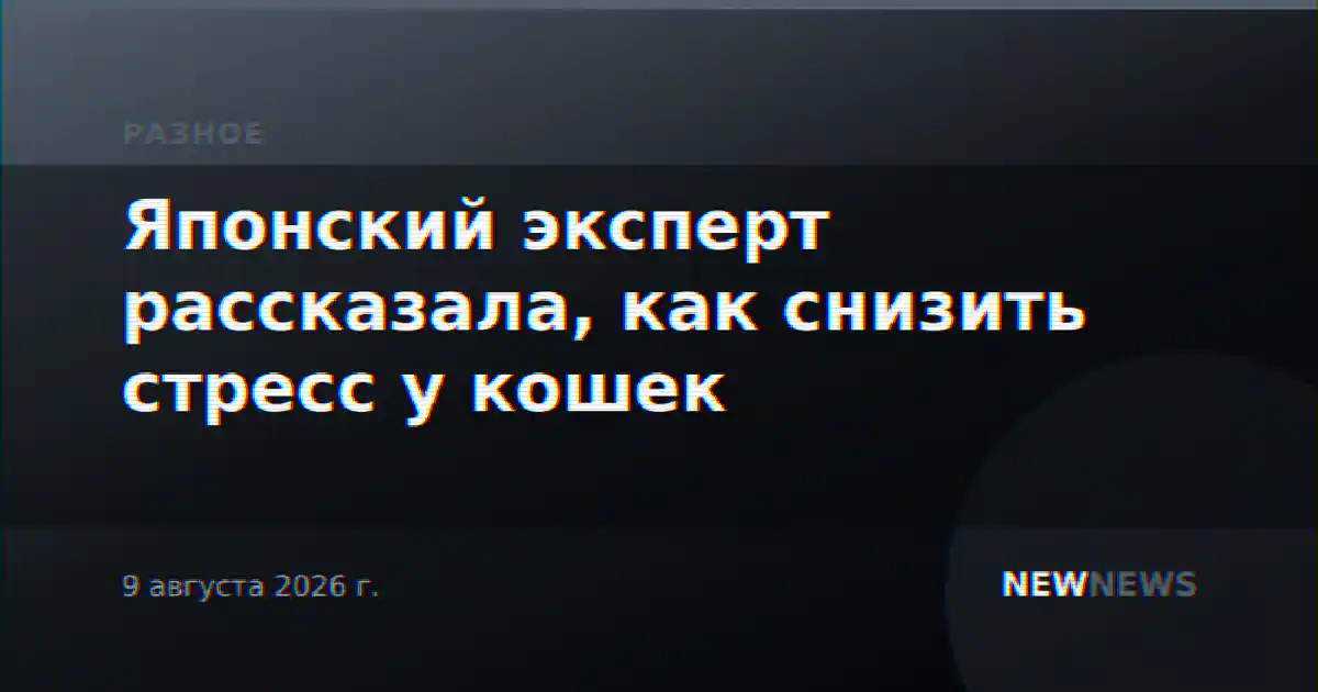 Японский эксперт рассказала, как снизить стресс у кошек