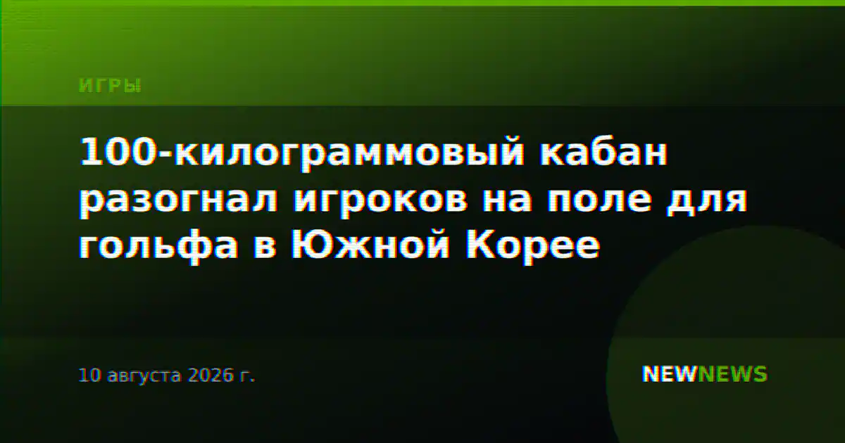 100-килограммовый кабан разогнал игроков на поле для гольфа в Южной Корее
