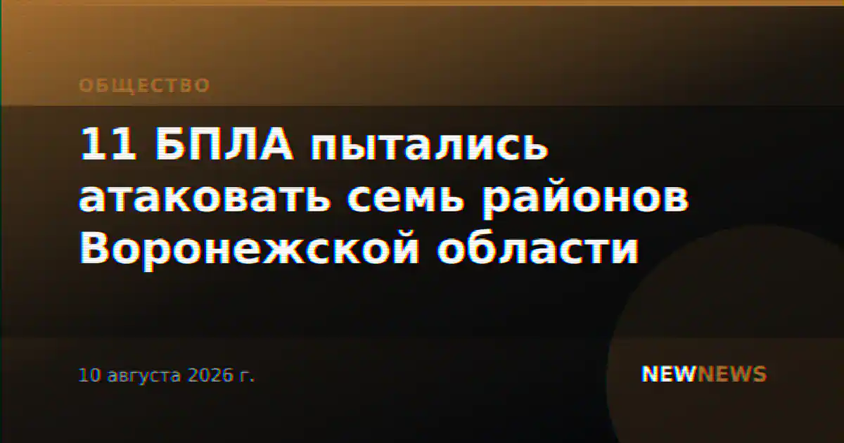 11 БПЛА пытались атаковать семь районов Воронежской области