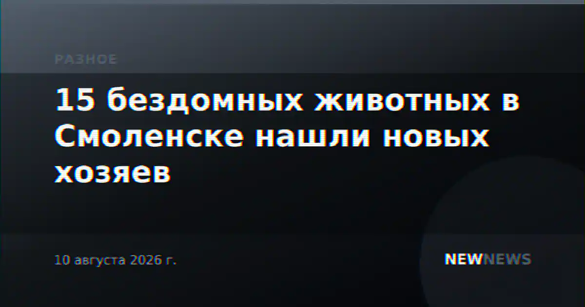 15 бездомных животных в Смоленске нашли новых хозяев