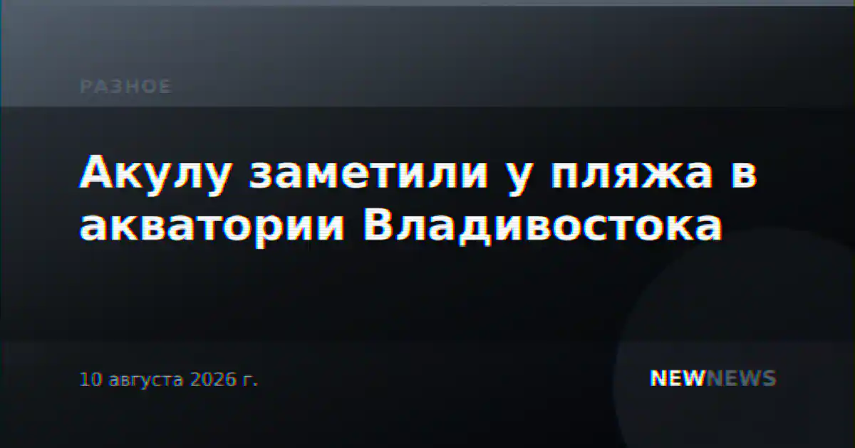 Акулу заметили у пляжа в акватории Владивостока