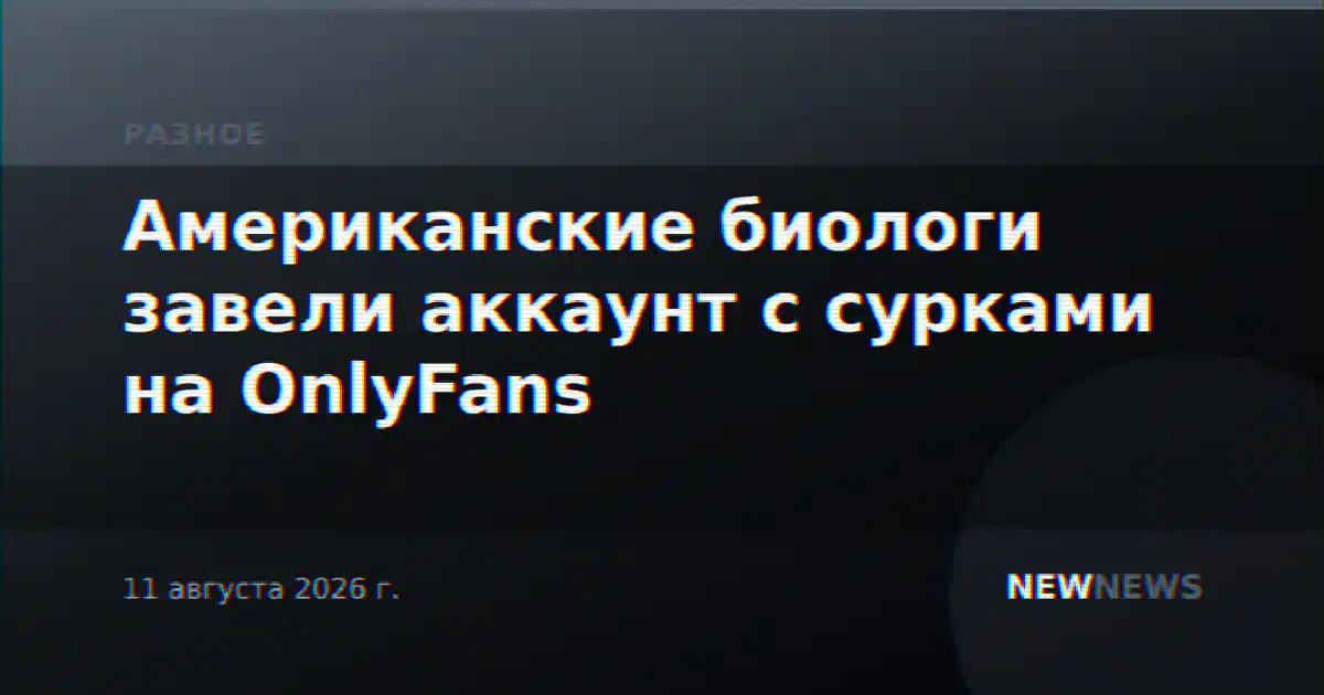 Американские биологи завели аккаунт с сурками на OnlyFans