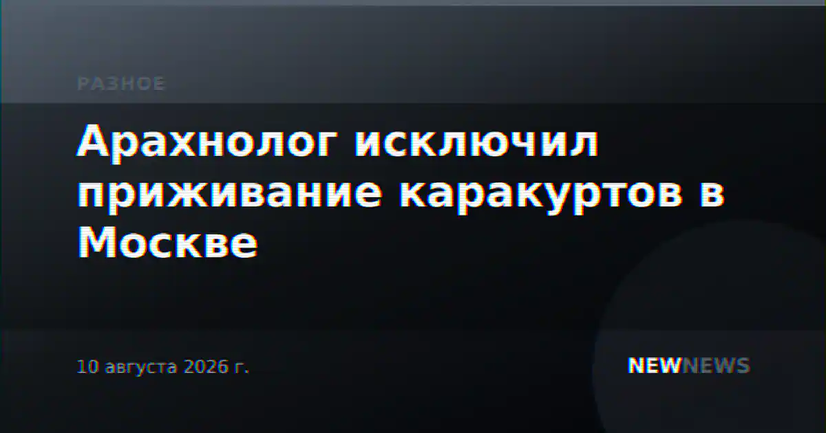 Арахнолог исключил приживание каракуртов в Москве