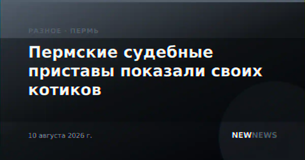 Пермские судебные приставы показали своих котиков